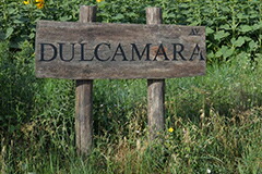 デュルカマーラ