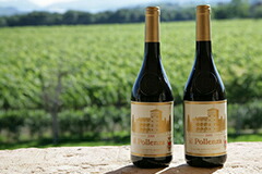 イルポレンツァ