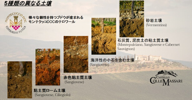 ５種類の土壌が入り混じるテロワール