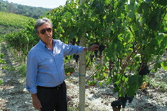 リッカルドコタレッラ氏