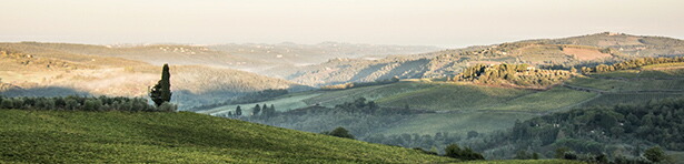 コンカドォーロ