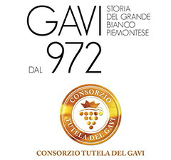 ＧＡＶＩ972