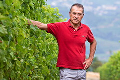 アントニオファットリ氏