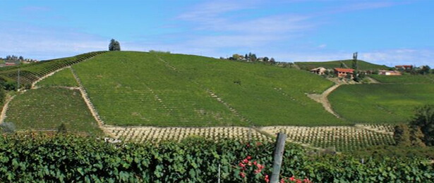 サントステファノ