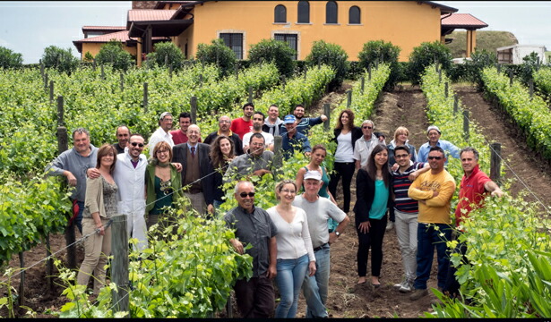 チームノタイオ