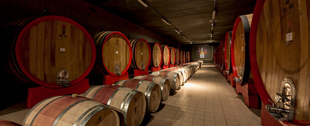 カンティーナ内