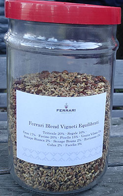 フェッラーリ社緑肥