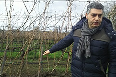 チロヴェルディ氏