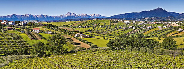 海側からみた畑、山を望む