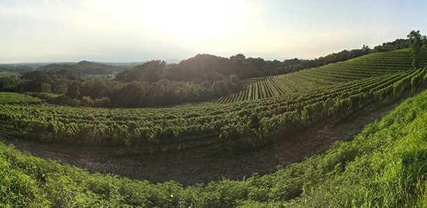 モンテカルヴァリオ