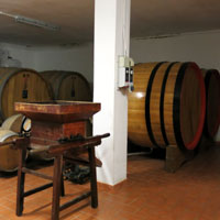 プリンチピアーノセラー