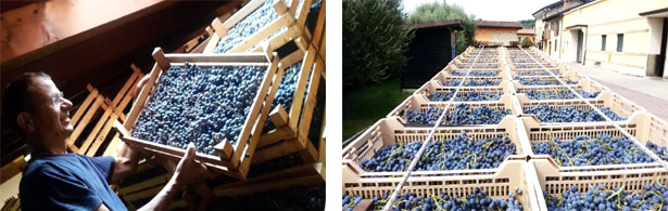 アパッシメント