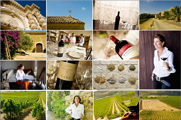 ヴァッレデラカーテ社