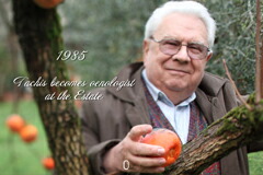 ジャコモタキス