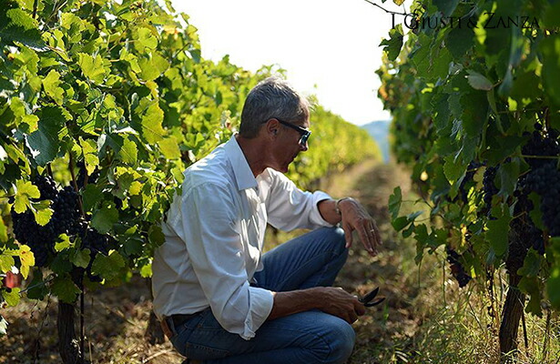 イ ジュスティ エ ザンツァ社 パオロ  エドアルド ジュスティ氏