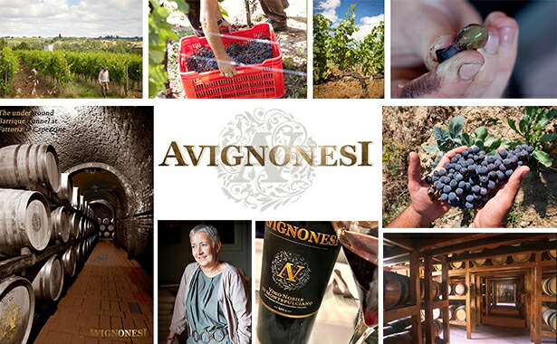 アヴィニョネージ社