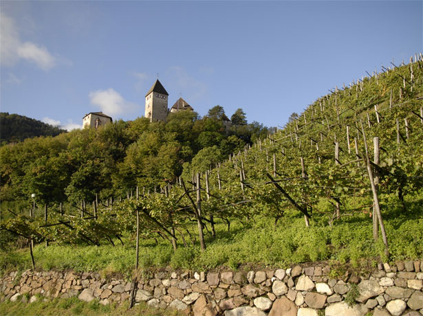 ナルスマルグライド　シルミアンの畑