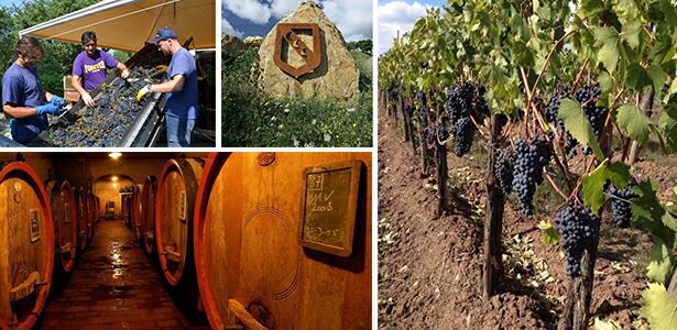 畑カンティーナ