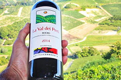 ロエロ ロッソ ラ ヴァル ディ プレティ