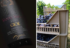 アマローネジョエ2007