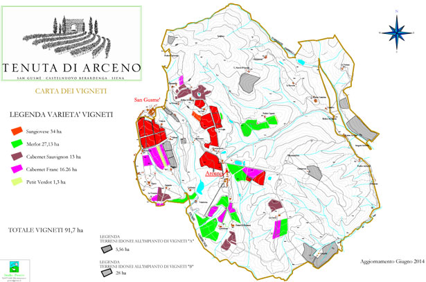 テヌータディアルチェーノ畑の区画