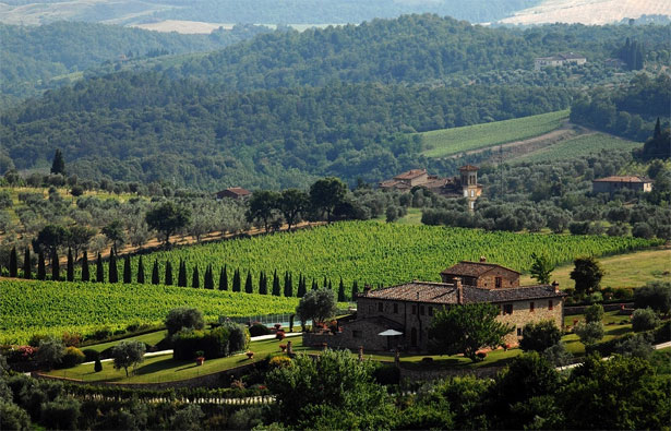 テヌータディアルチェーノ全景