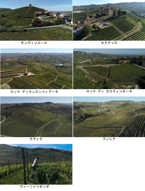 テッレデルバローロのクリュ