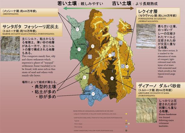 バローロ地区の土壌分布