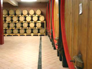 テッレデルバローロ