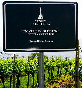 コルドルチャとフィレンツェ大学