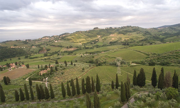 カペッツァーナのテロワール