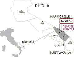 テヌーテ ルビーノ  地図