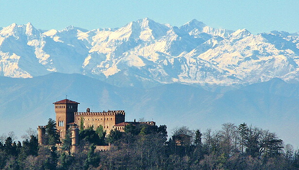 ワイナリー全景