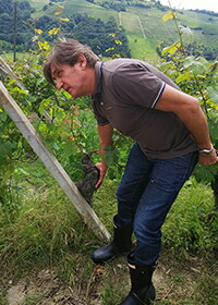 モンテルーポのブドウ