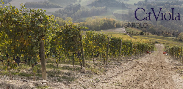 クリュソットカステッロ