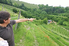 モンテルーポ畑で説明