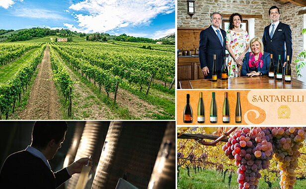 ワイナリー概要