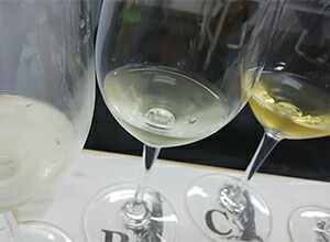 ノジオラ比較試飲