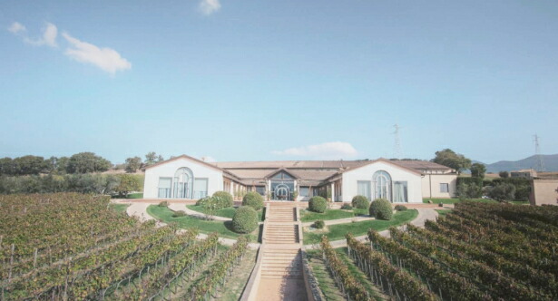 ファレスコ現在のカンティーナ