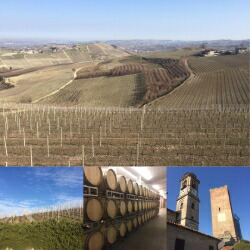 畑　+　イメージ