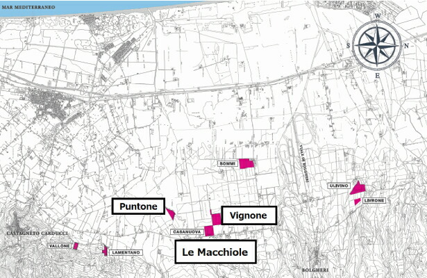 マッキオーレ畑地図
