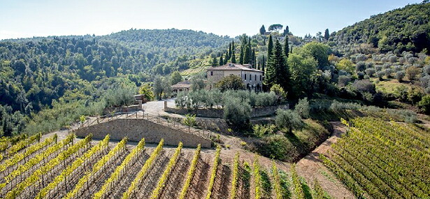 ポッジャレッリ畑