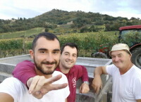 コルトネージ家