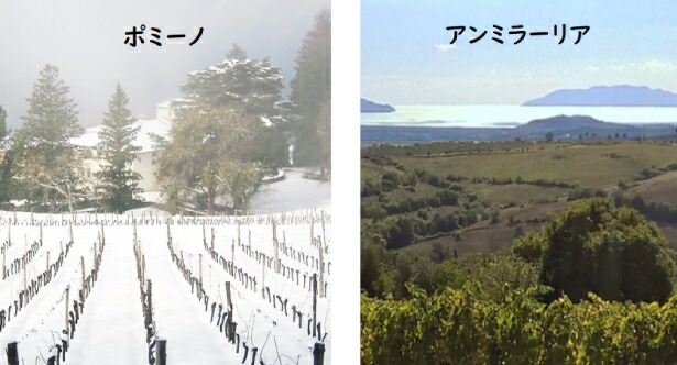 2エステート比較