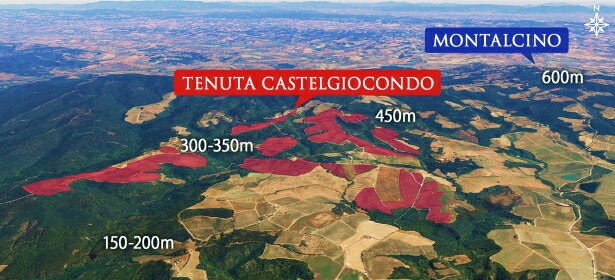 モンタルチーノ上空から