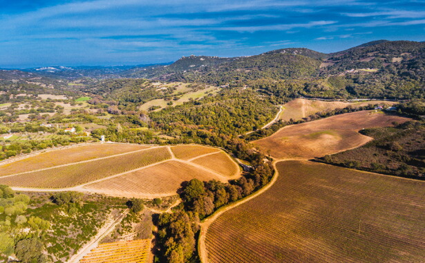 シッドゥーラ渓谷