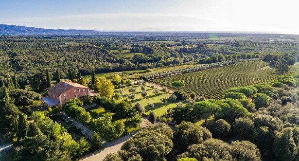 ワイナリー上空から