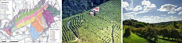 3枚の写真、19の異なるタイプの土壌地図、ヴァルドッビアーデネの丘陵地の畑、コネリアーノの丘陵地の畑