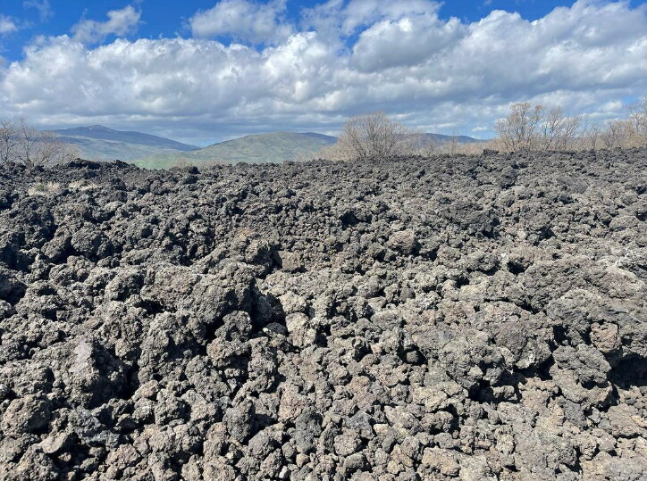 エトナの火山灰土壌