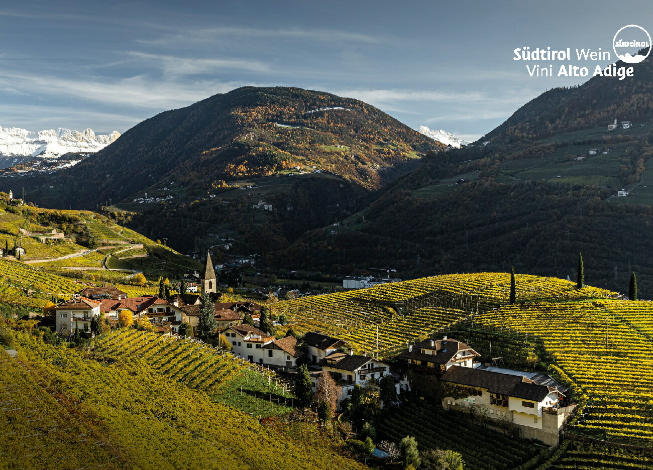 アルトアディジェの畑